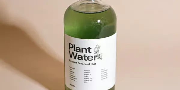 Plant Water